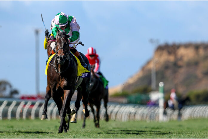 Starlust Foto: Eclipse Sportswire Starlust Foto: Eclipse Sportswire