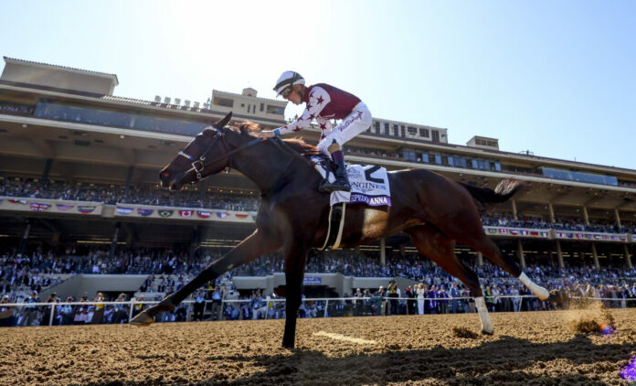 Thorpedo Anna Thorpedo Anna (Foto: Alex Evers/Eclipse Sportswire/Breeders Cup)