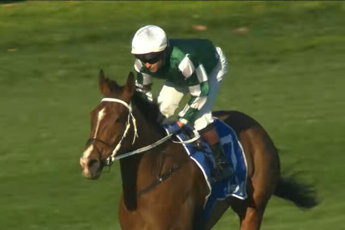 Via Sistina (Archiv) Foto: Screenshot Via Sistina (Archiv) Foto: Screenshot