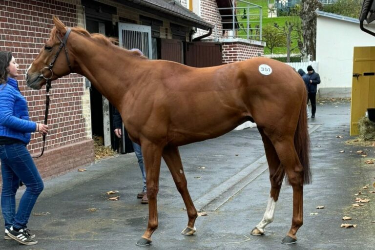 Schwanenberg, Whitfield, Möller und Schleppi sorgen für erste deutsche Käufe