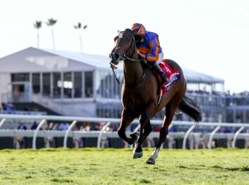 Überraschung - Kein Royal Ascot-Start für Lake Victoria Alex Evers