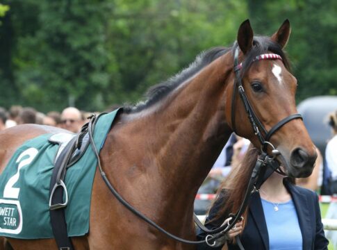 Schnakenberg-Erfolg in Dieppe – Alatemagicbaby legt Maidenschaft ab Alatemagicbaby