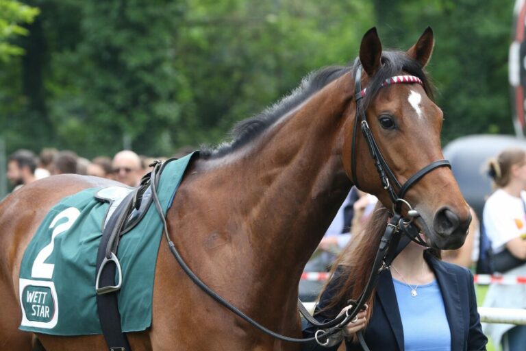 Schnakenberg-Erfolg in Dieppe – Alatemagicbaby legt Maidenschaft ab