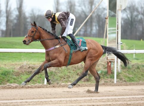 Auf Sand im Element - Artistic Mission mit erstem Sieg Artistic Mission siegt unter Leon Wolff