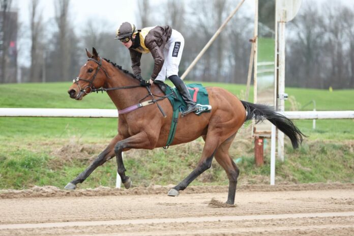 Artistic Mission siegt unter Leon Wolff