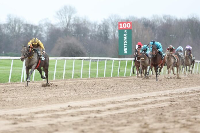 Asaaleeb siegt unter Andrea Ricupa