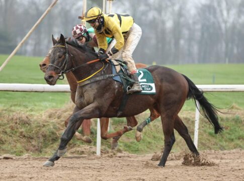 Und wieder Asaaleeb – Erst mit Ricupa gewonnen, jetzt mit MacRedmond Asaaleeb
