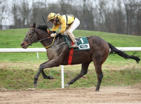 Ricupa gleicht aus - Endlich wieder Asaaleeb Asaaleeb siegt unter Andrea Ricupa