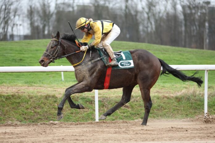 Asaaleeb siegt unter Andrea Ricupa