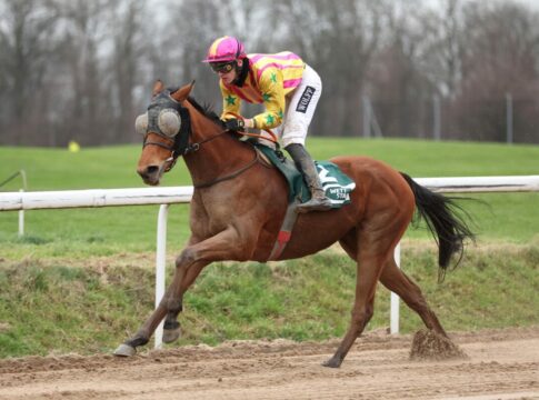 Ciyounesse beschert Smrczek und Wolff einen Doppeltreffer Ciyounesse siegt unter Leon Wolff