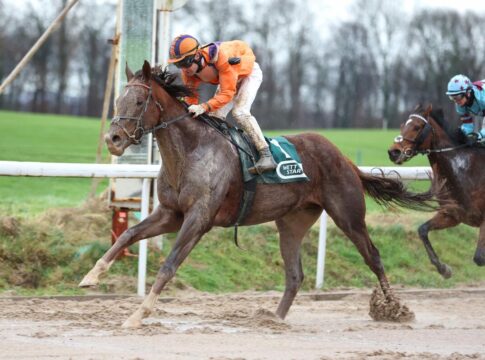 Ricupa legt am vierten Advent vor – Akano ist am stärksten Akano siegt unter Andrea Ricupa