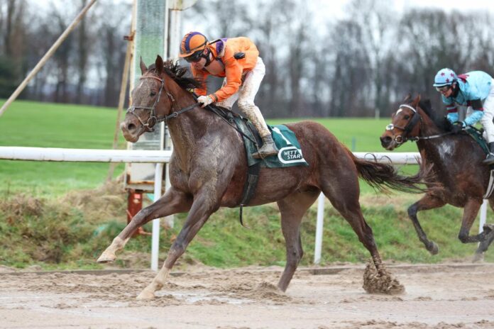 Akano siegt unter Andrea Ricupa