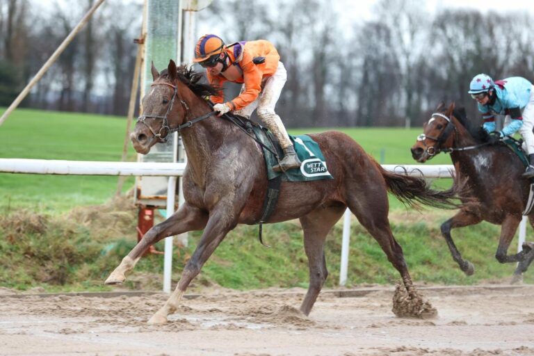 Ricupa legt am vierten Advent vor – Akano ist am stärksten