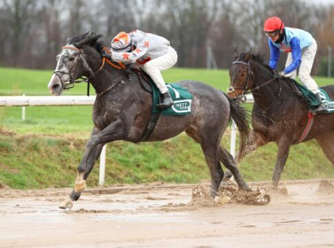 Ricupa fährt auf Dressman 22. Saisonsieg ein Dressman siegt unter Andrea Ricupa