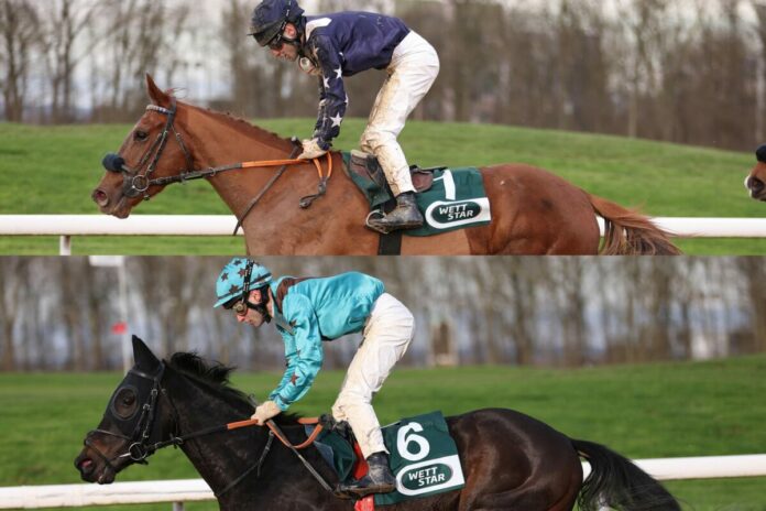 Dream Selection Keano