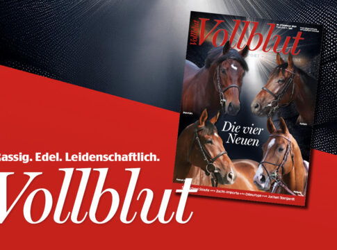 Druckfrisch erschienen: Die neue Ausgabe der VOLLBLUT GOL_VB_279