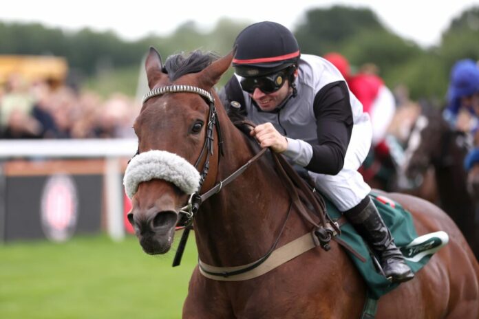 Mandy's Girl siegt unter Concetto Santangelo