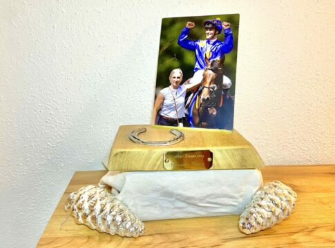 Für guten Zweck: Fantastic Moons Derby-Hufeisen wird versteigert Hufeisen neu