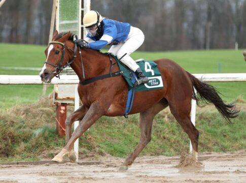 Kleinkorres-Doppel – Synonymous mit Stahlhut locker voraus Synonymous siegt unter Elisabeth Stahlhut