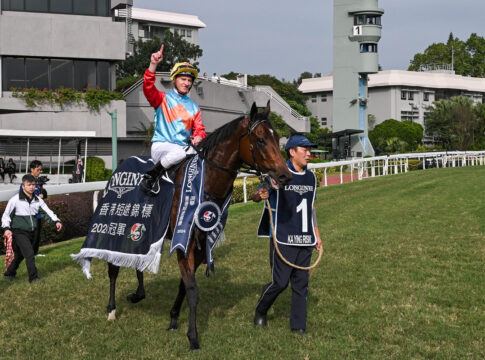 Ka Ying Rising bereit für nächstes Gruppe I-Rennen Ka Ying Rising Foto: hkjc.com