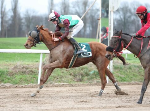 Kalajana mit erstem Sandbahnsieg Kalajana siegt unter Robin Weber