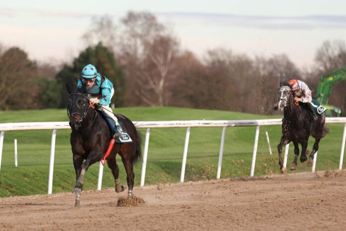 Keano siegt unter Andrea Ricupa Keano siegt unter Andrea Ricupa
