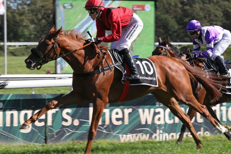 Tiara Hilleshage bei 270.000 Guineas nicht verkauft