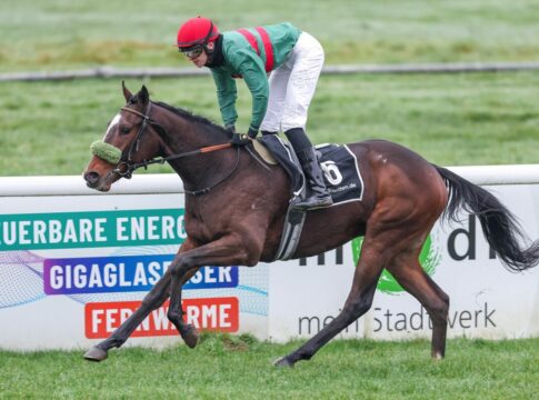 Zweijährig überlegen: Saisonstart für Grewes Namaron schon in 8 Tagen? Namaron