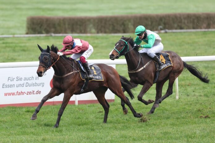 Mandoki siegt unter Andrea Ricupa