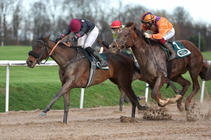 Redrose Jazz siegt unter Leon Wolff Redrose Jazz siegt unter Leon Wolff