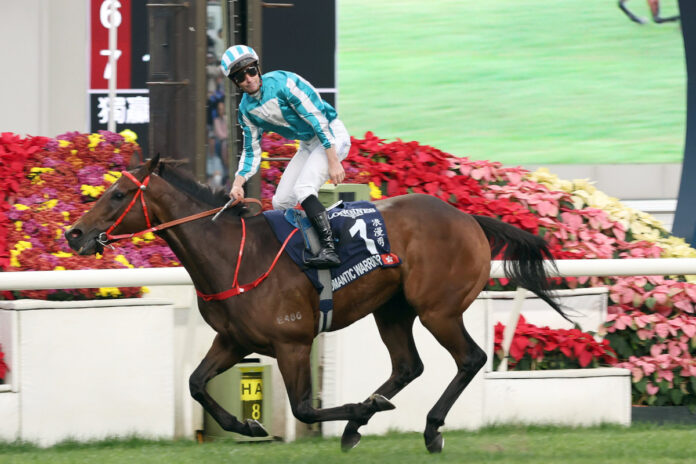 Romantic Warrior Foto: hkjc.com Romantic Warrior Foto: hkjc.com