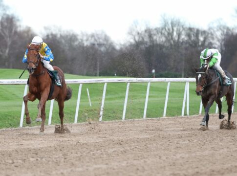 Schael bereitet sich für das Skikjöring in St. Moritz vor Schael siegt unter Senan MacRedmond