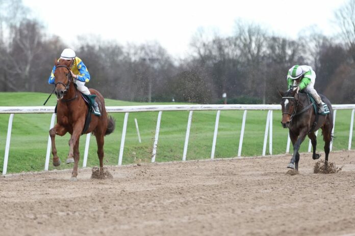 Schael siegt unter Senan MacRedmond Schael siegt unter Senan MacRedmond