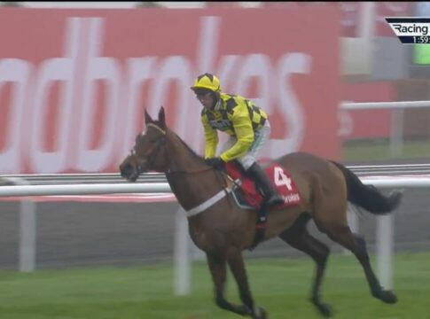 Sechs aus sechs – Sir Gino bleibt ungeschlagen Sir Gino