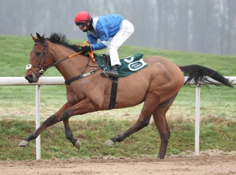 Treffer für Belgien - Tex Air ist erster Sieger des letzten Jahresrenntages Tex Air siegt unter Miguel Lopez
