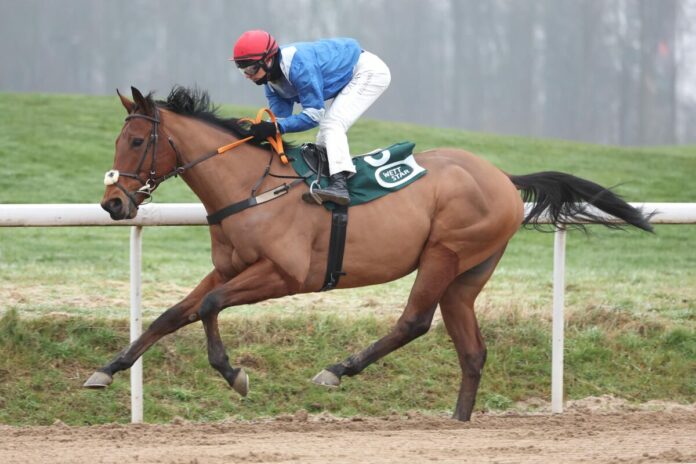 Tex Air siegt unter Miguel Lopez