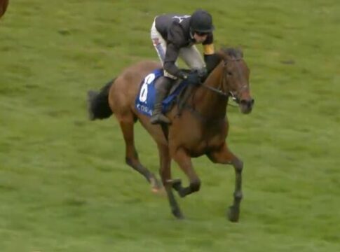 The New Lion beeindruckt für die Skeltons The New Lion