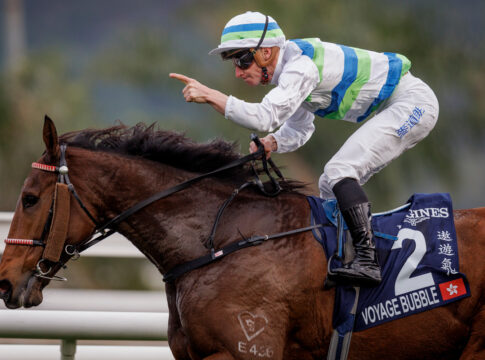 Erste Triple Crown seit 1994 - Voyage Bubble historisch Voyage Bubble Foto: hkjc.com
