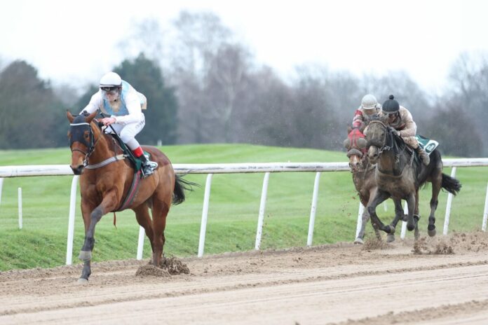 Wakey Wakey siegt unter Senan Macredmond