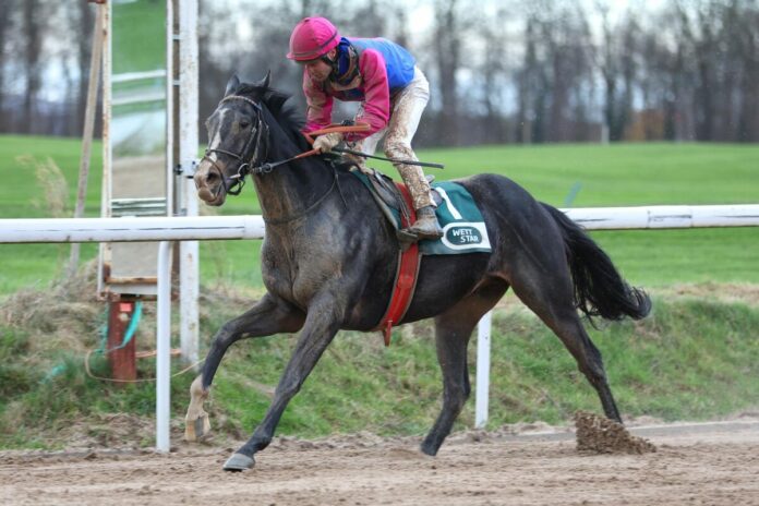 Woody Wood (Archiv) Woody Wood (Archiv)