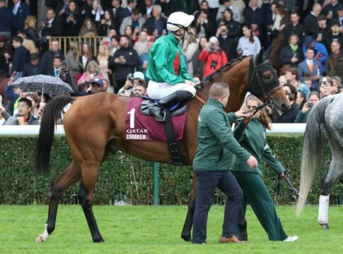 Arc-Starter Zarakem läuft in Zukunft in Australien Zarakem