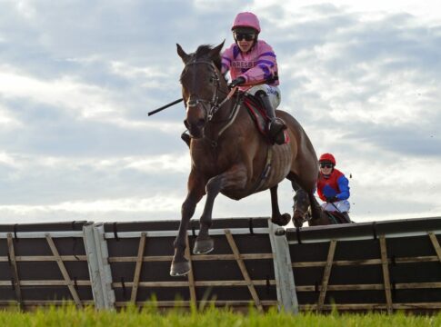 Überraschung im Long Walk Hurdle: Crambo wiederholt Vorjahressieg Crambo (Foto: "X")