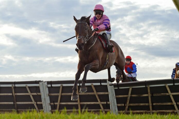 Crambo (Foto: Crambo (Foto: