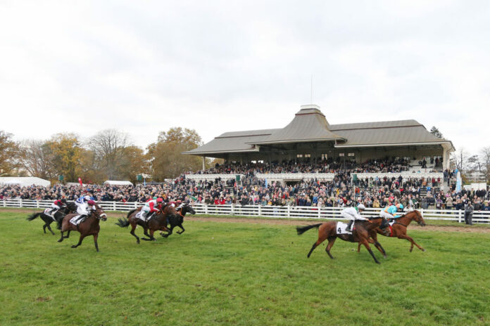 Halle, Ace of Spades (rechts) mit Leon Wolff gewinnt das BBAG Auktionsrennen