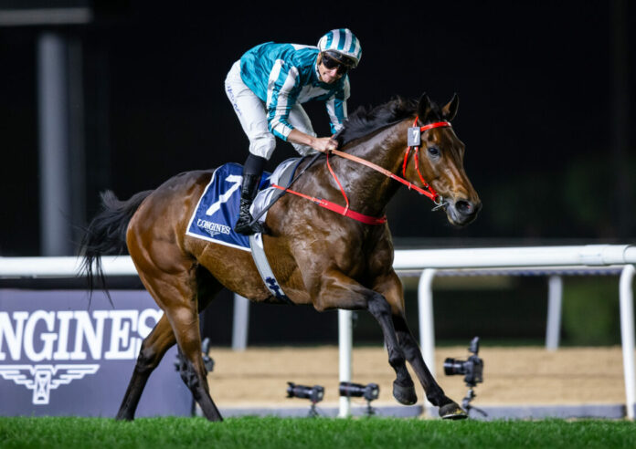 Romantic Warrior (Foto: Hong Kong Jockey Club)