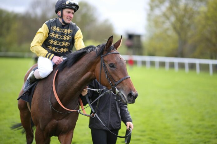 Anna Magnolia im Jahr 2017 Anna Magnolia im Jahr 2017