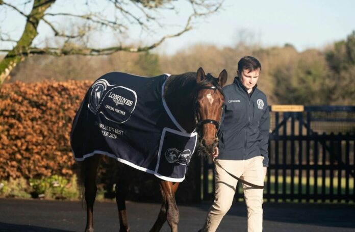 City of Troy (Coolmore)