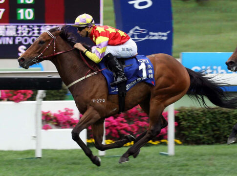 Champion Designs On Rome mit 15 Jahren abgetreten Designs On Rome Foto: hkjc.com