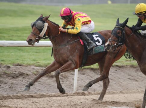 Bleibt Ciyounesse auf der Sandbahn ungeschlagen? Ciyounesse siegt unter Thore Hammer-Hansen