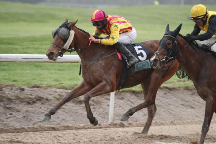 Ciyounesse siegt unter Thore Hammer-Hansen